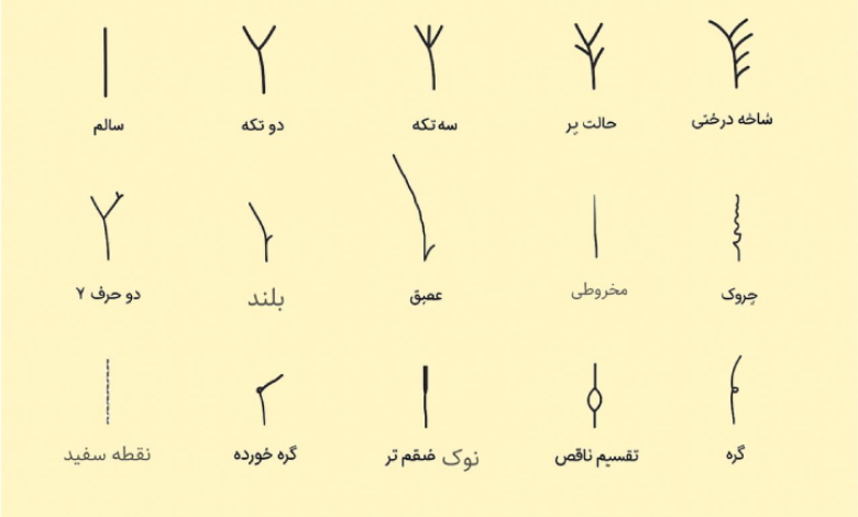 موخوره چیست و چرا اتفاق میافتد؟ علائم، علتها و راههای پیشگیری