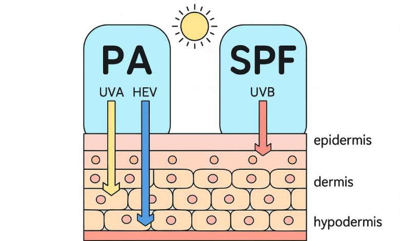 همه چیز درباره SPF و PA در ضد آفتاب‌ها