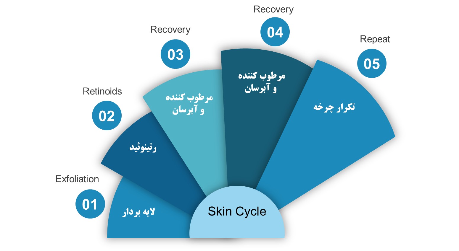 چرخه روتین پوستی یا اسکین سایکلینگ